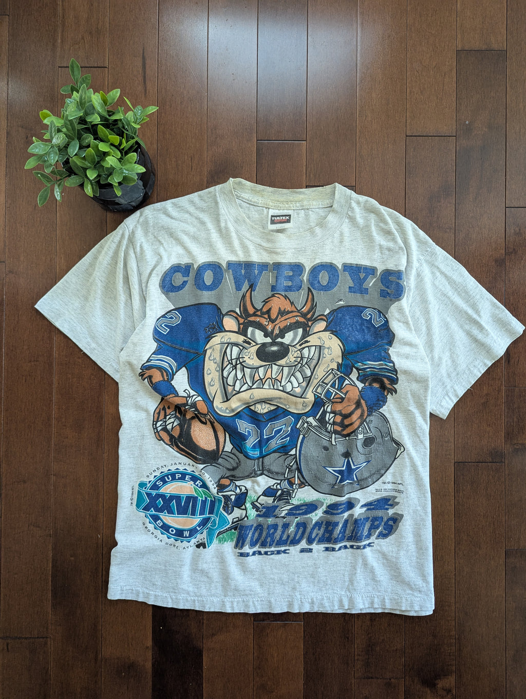 TAZ LOONEY TUNES DALLAS COWBOYS VINTAGE GRAPHIC TSHIRT