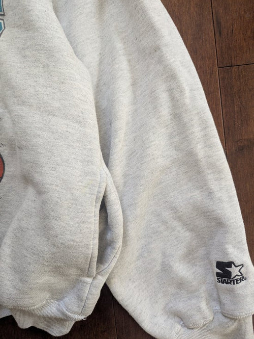 CHARLOTTE HORNETS VINTAGE STARTER PULLOVER HOODIE